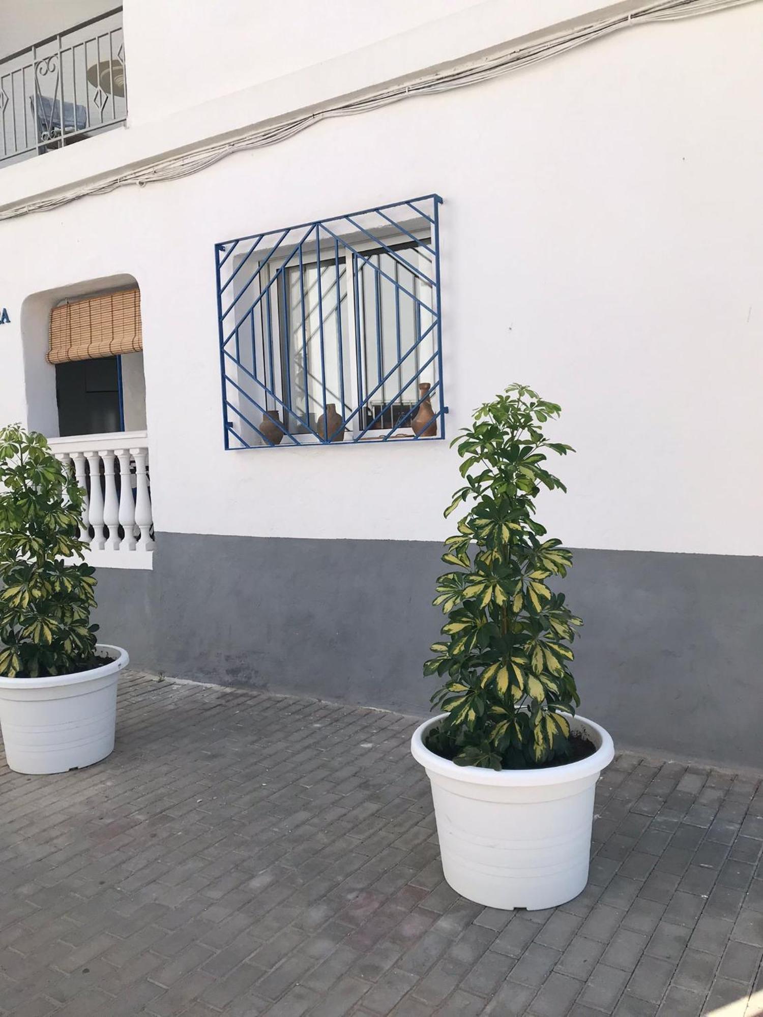Apartamentos Lolitalola Holidays Salobreña Dış mekan fotoğraf