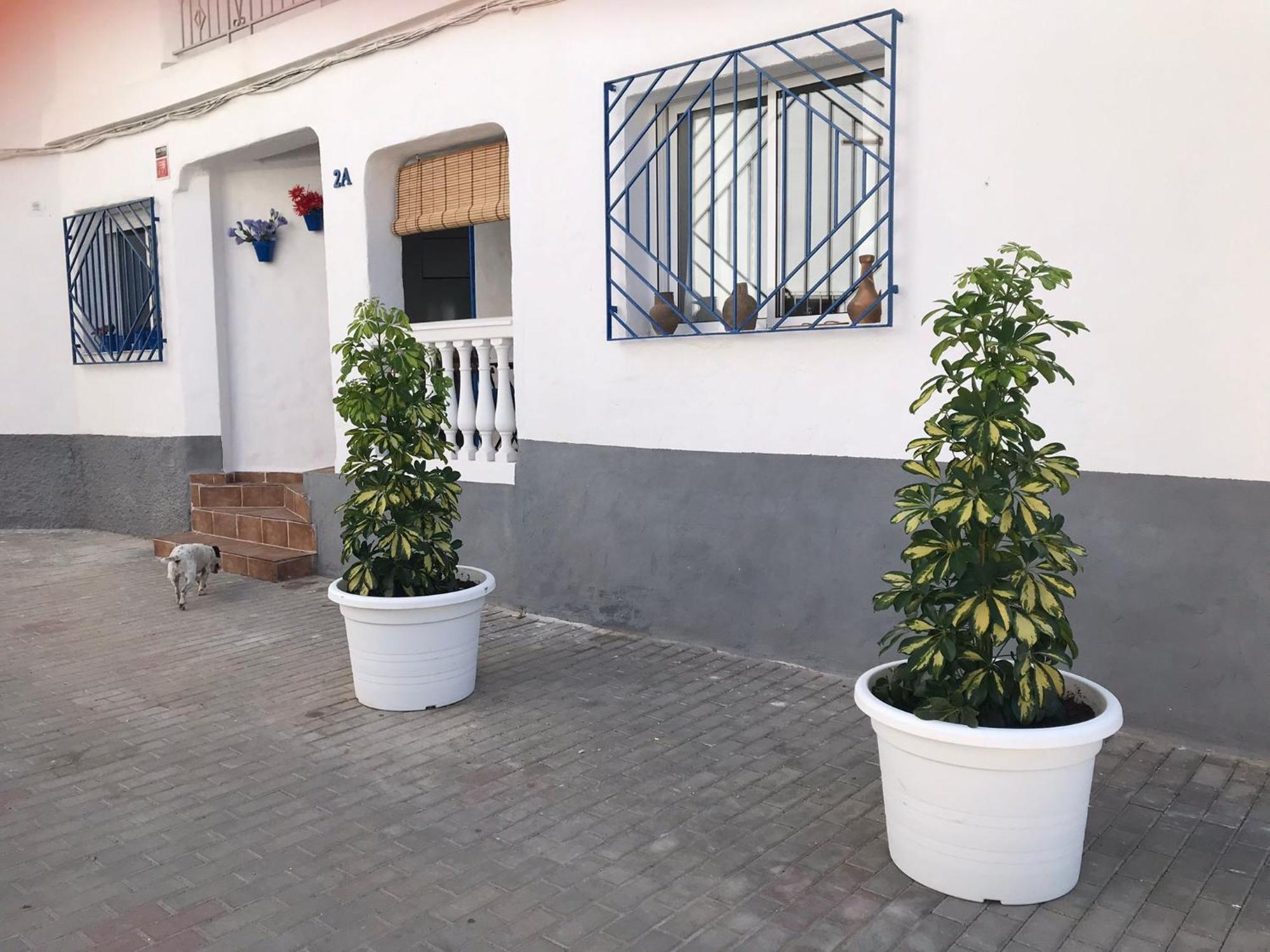 Apartamentos Lolitalola Holidays Salobreña Dış mekan fotoğraf